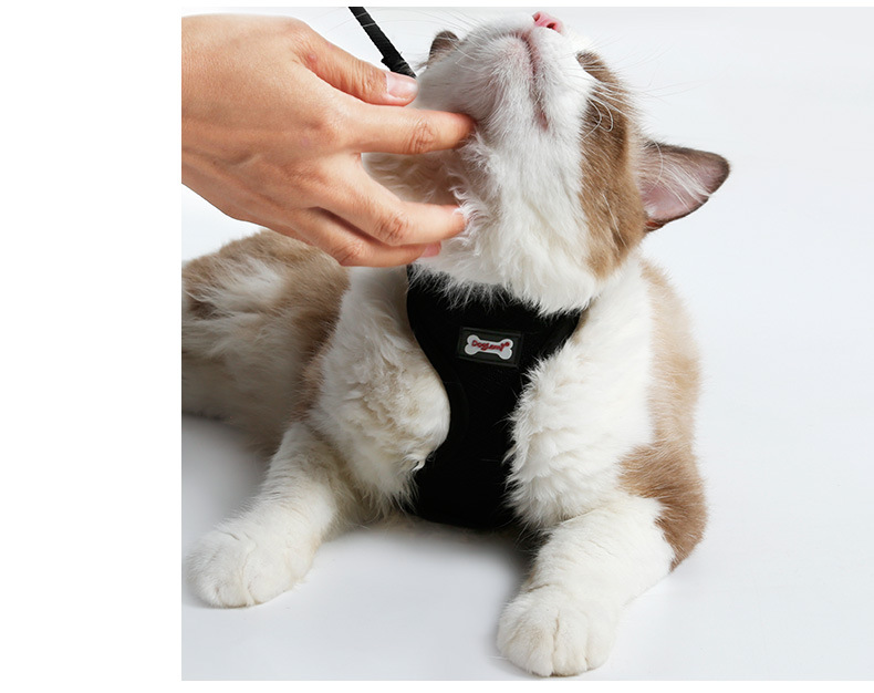PurrSafe™ Escape-Proof Cat Harness