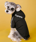 WarmPaw™ Winter Dog Jacket