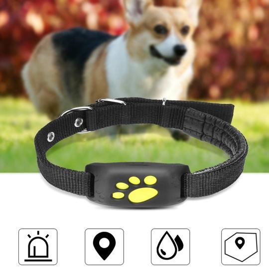 TrackPaw™ GPS Pet Tracker
