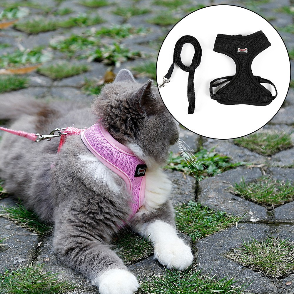 PurrSafe™ Escape-Proof Cat Harness