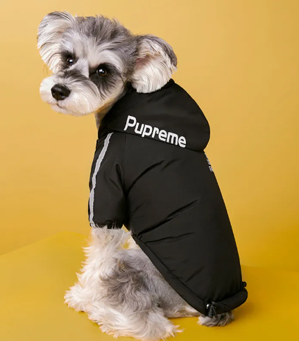WarmPaw™ Winter Dog Jacket