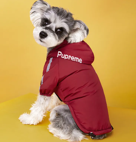 WarmPaw™ Winter Dog Jacket