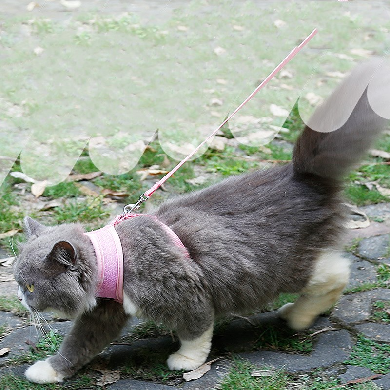 PurrSafe™ Escape-Proof Cat Harness