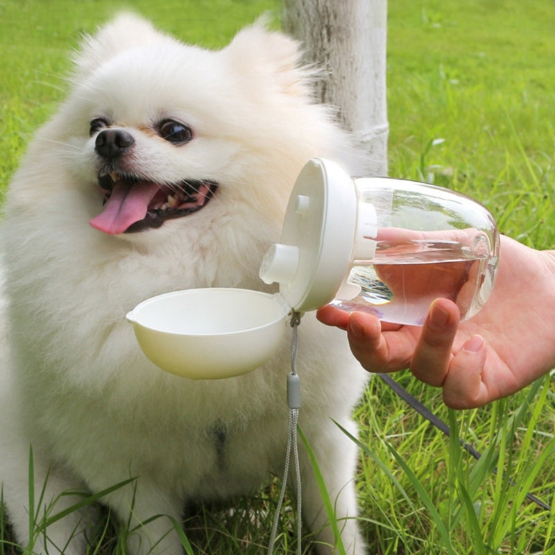 HydroPaw™ Travel Water Bottle