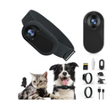 PawCam™ Pet Adventure Camera Harness