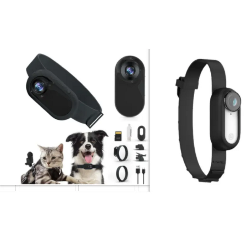 PawCam™ Pet Adventure Camera Harness