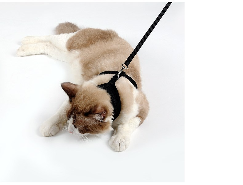 PurrSafe™ Escape-Proof Cat Harness