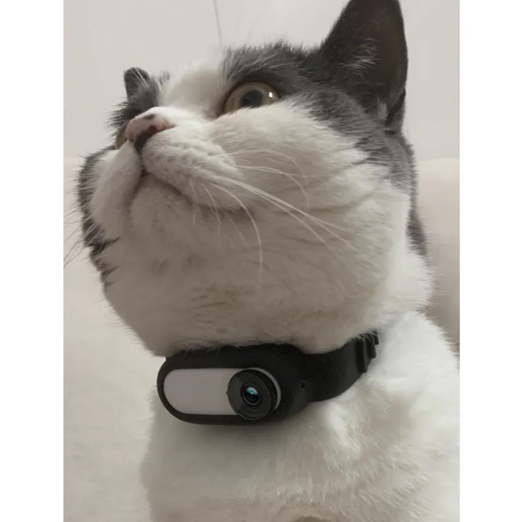 PawCam™ Pet Adventure Camera Harness